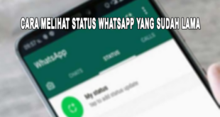 cara melihat status whatsapp yang sudah lama